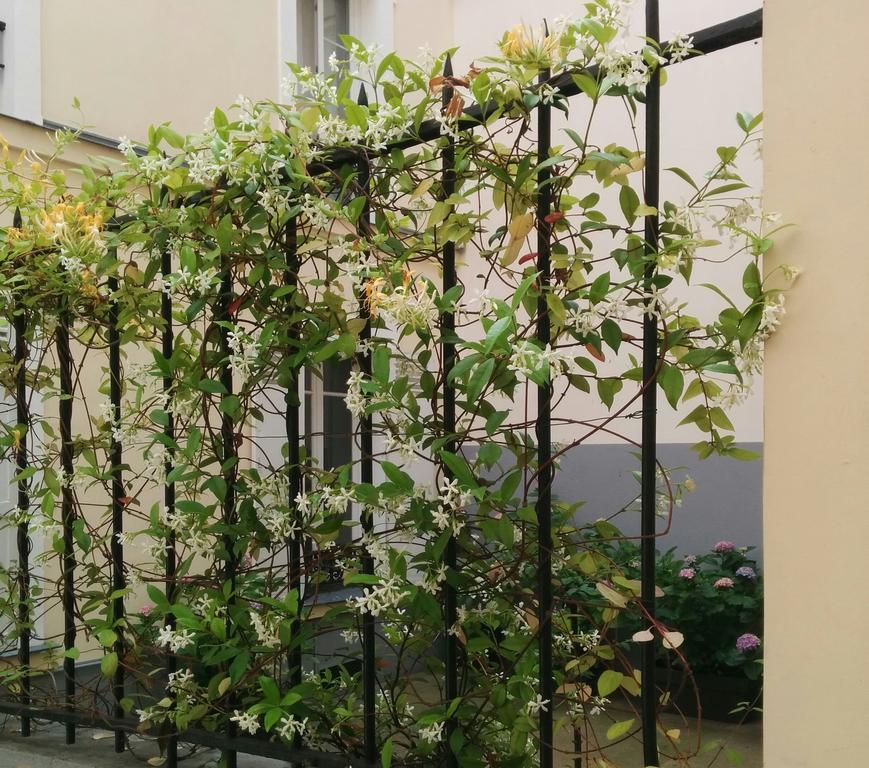 La Cour Du 5Eme - Chambre D'Hotes Париж Экстерьер фото